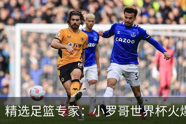 精选足篮专家：小罗哥世界杯火爆9连红长线15中13！